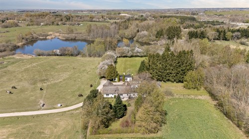 estate