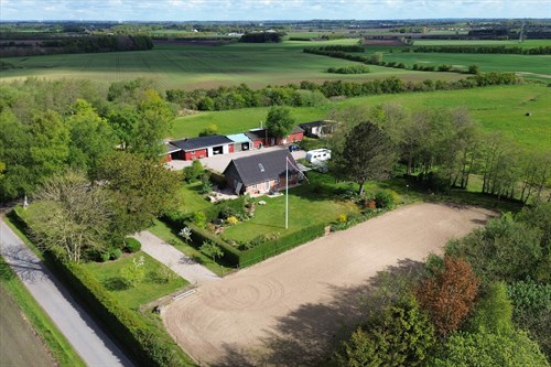 estate