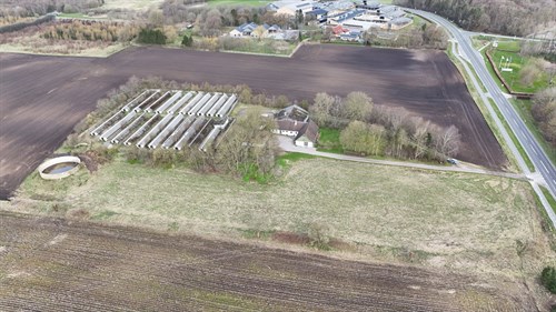 estate