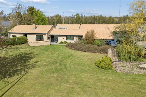 estate