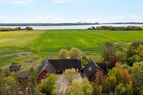 estate