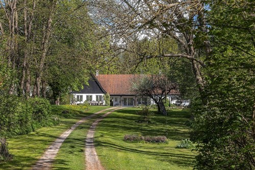estate