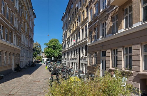 estate