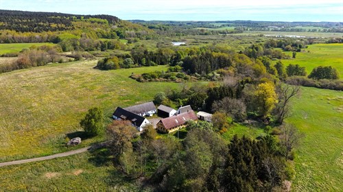 estate