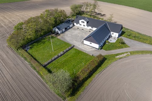 estate
