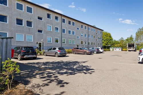 estate