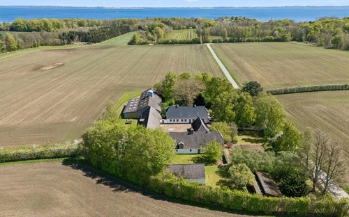 estate