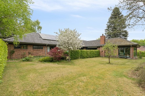 estate