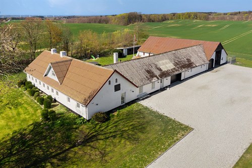 estate