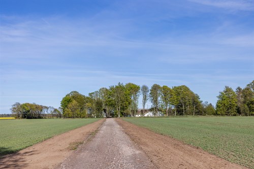 estate