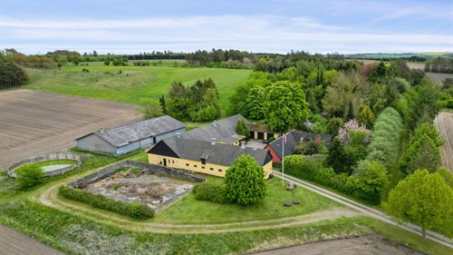 estate