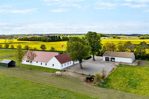estate