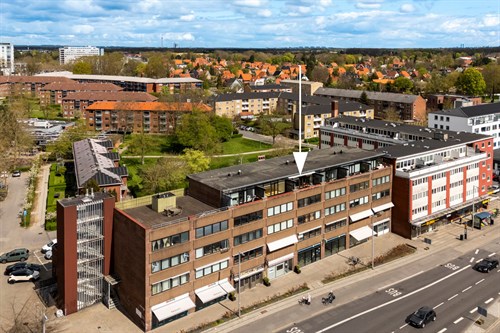 estate