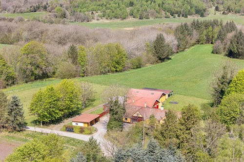 estate