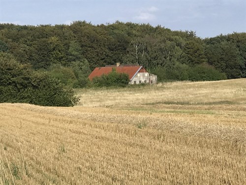 estate