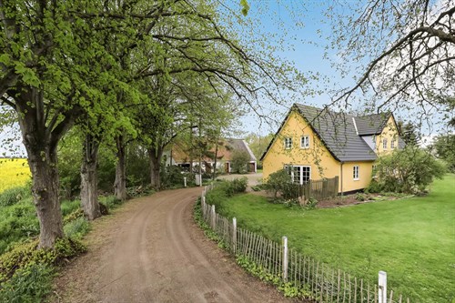 estate