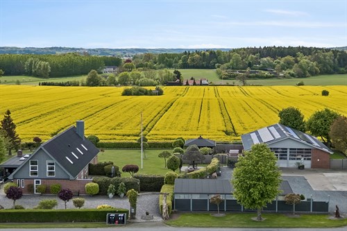 estate