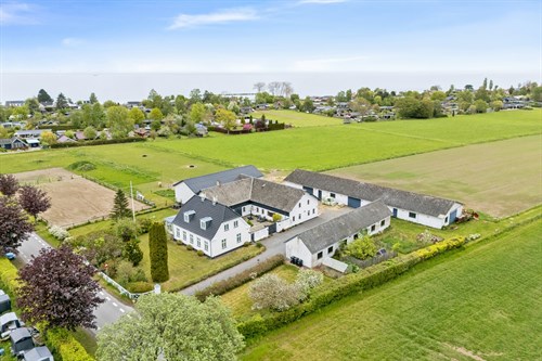 estate