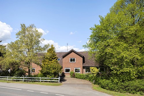 estate
