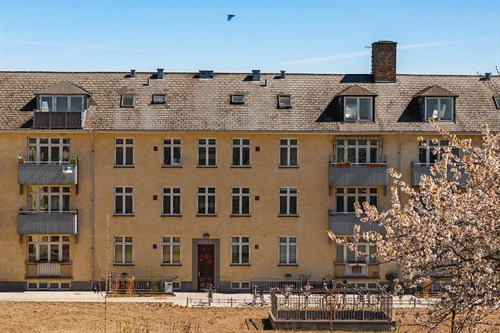 estate