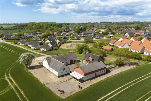 estate