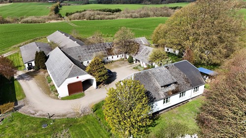 estate