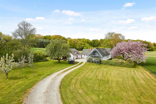 estate