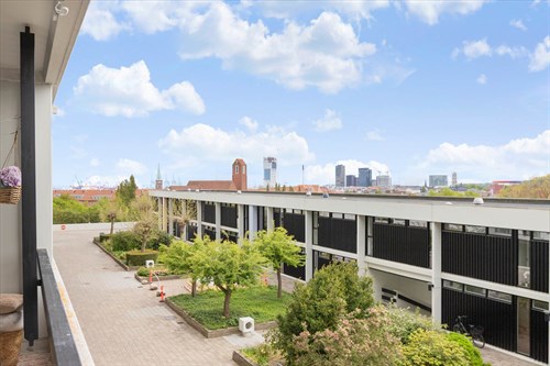 estate