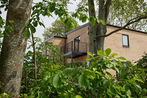 estate