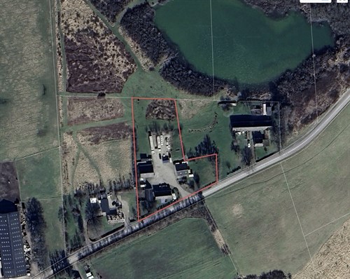 estate