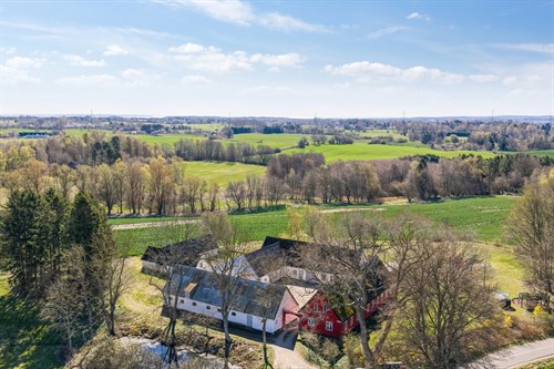 estate