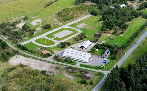estate