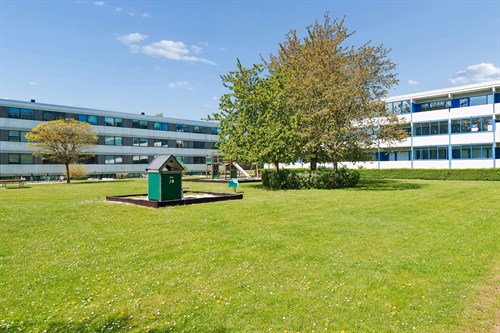 estate
