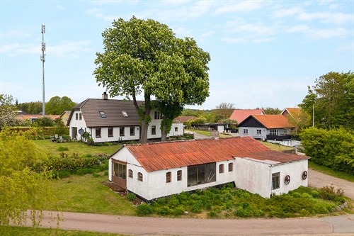 estate