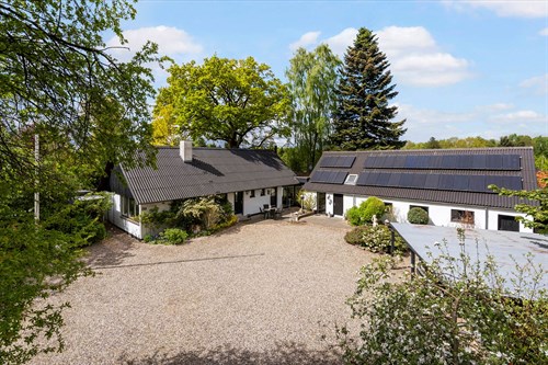 estate