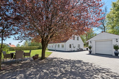 estate