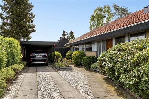 estate