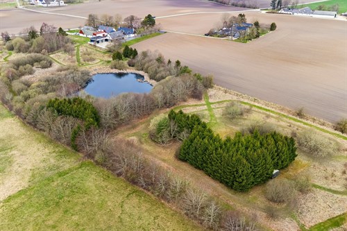 estate