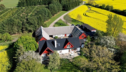 estate