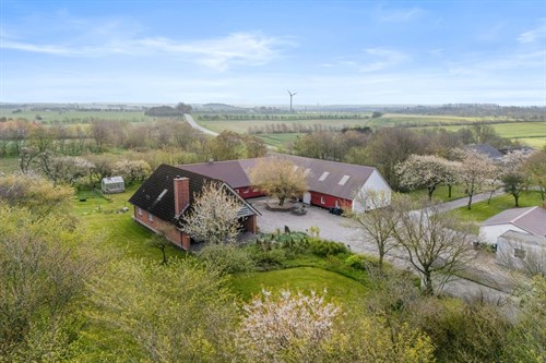 estate
