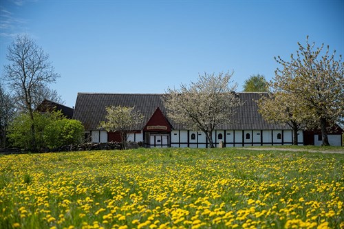 estate