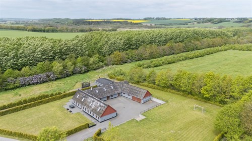estate