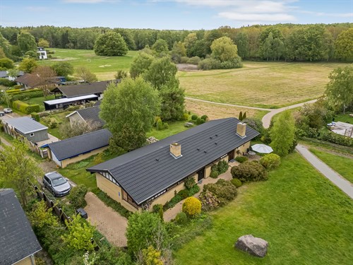 estate