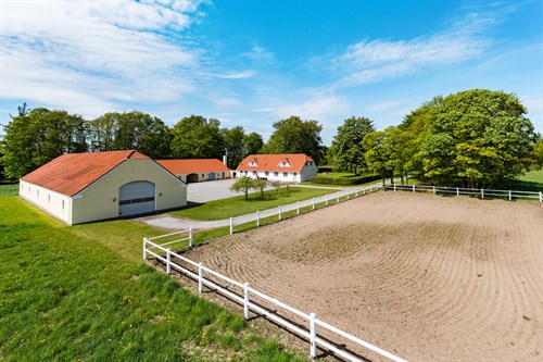 estate