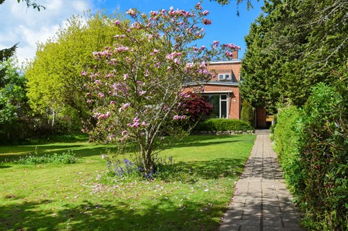 estate