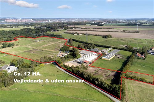estate