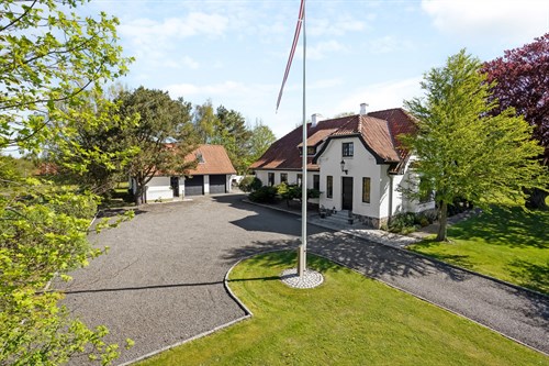 estate
