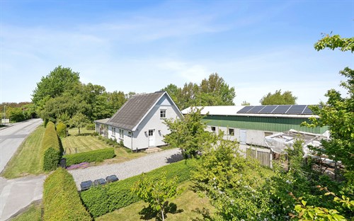 estate