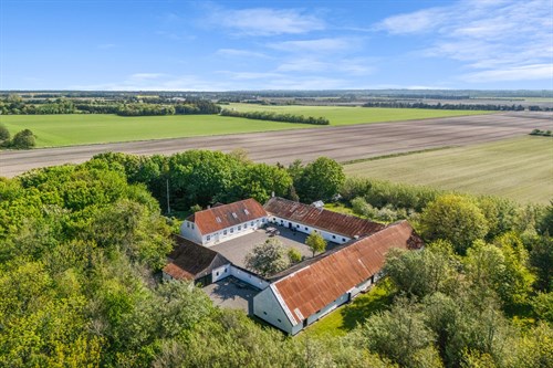 estate