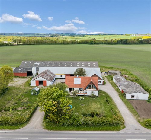 estate
